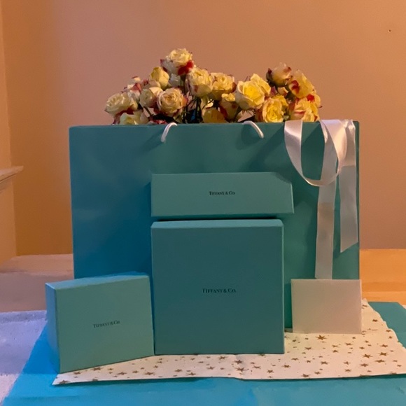 🎀 TIFFANY & CO. BAG & BOXES 🎀 - Picture 4 of 16